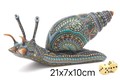 Dragonfly snail