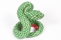 Green Snake V