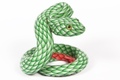 Green Snake V